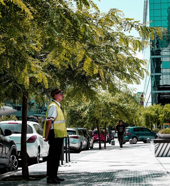 244590714_1510277769308184_7945646298613354775_n